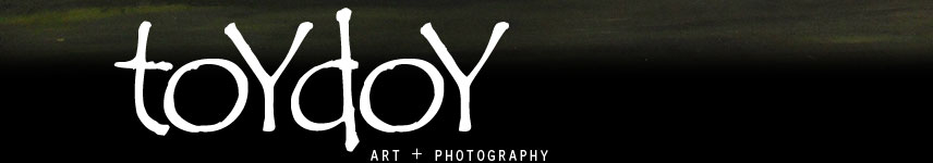 toydoy homepage